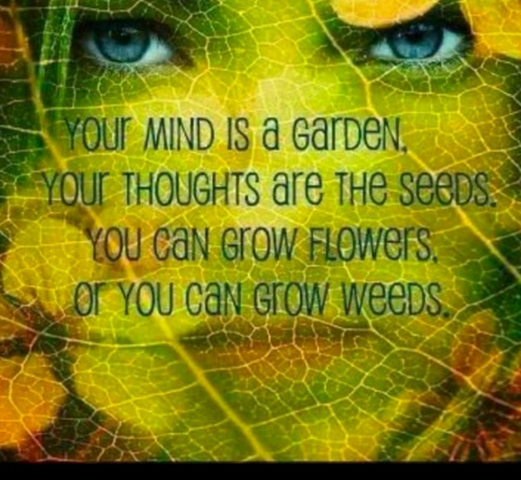 Retro-Floral 14"x19" Includes 10 Mailers - Picture 5 of 8